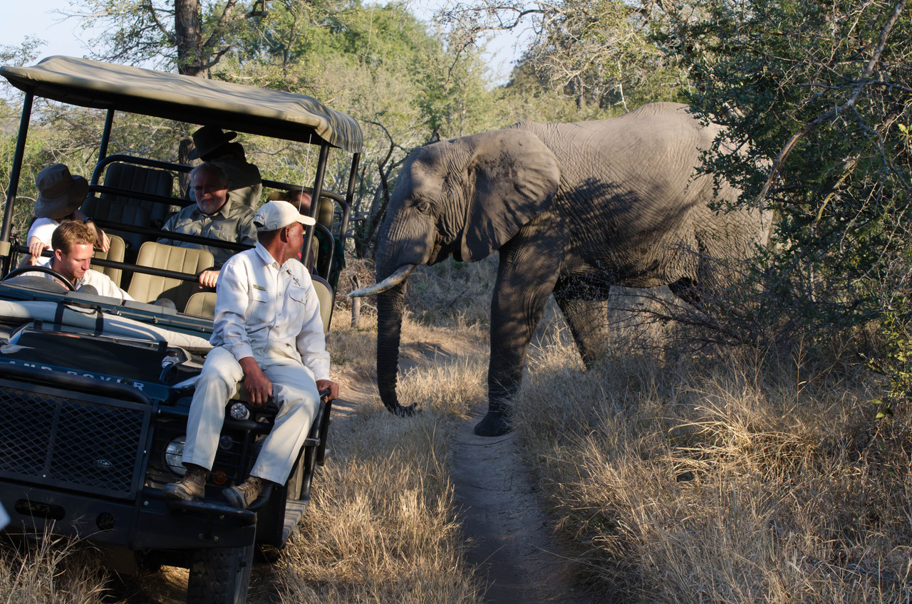 Wildlife