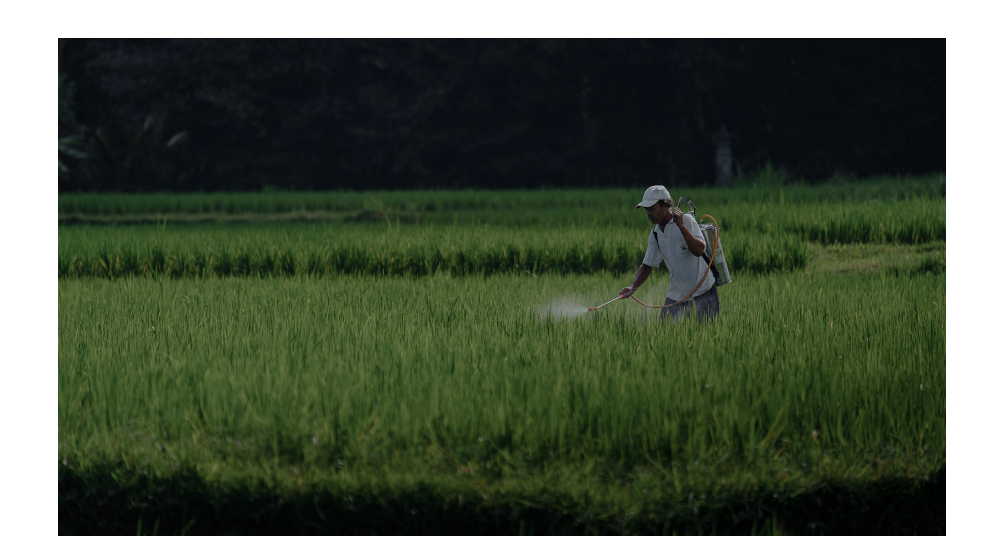 Importancia del control de fertilizantes con agroquímicos nitrogenados
