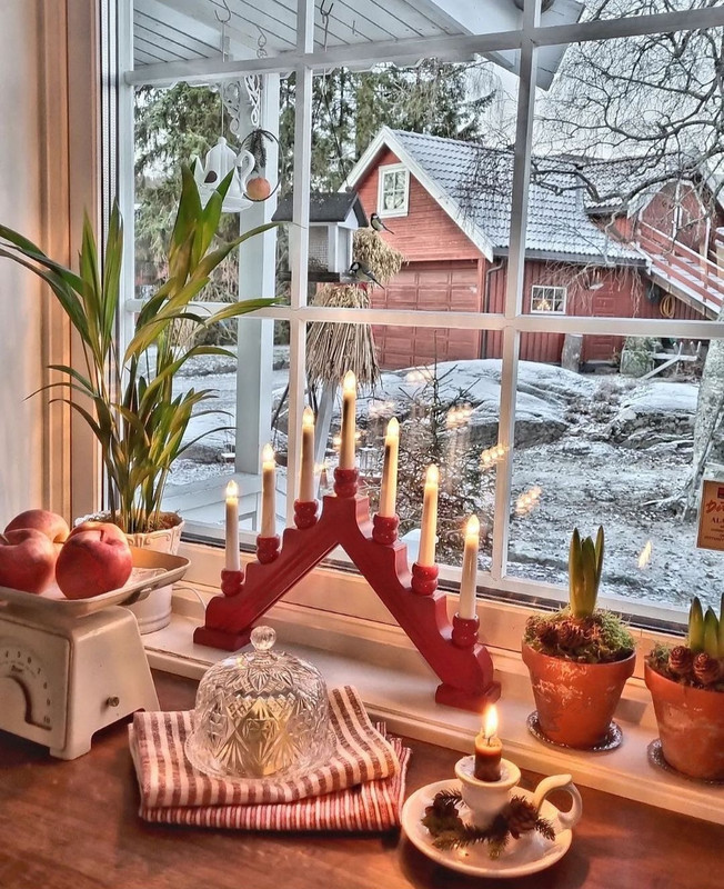 Screenshot_20231115_000544_Instagram