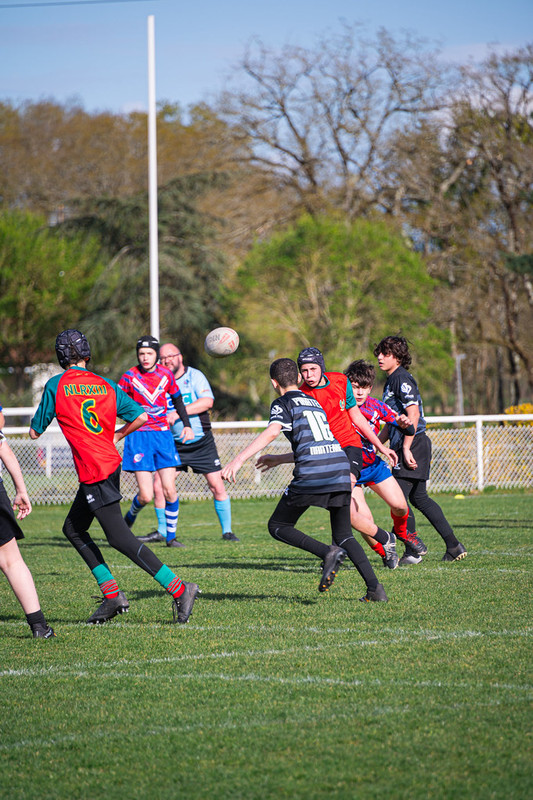 tournoi-de-latlantique-2026-adonis-griffon-230-55180367712-l