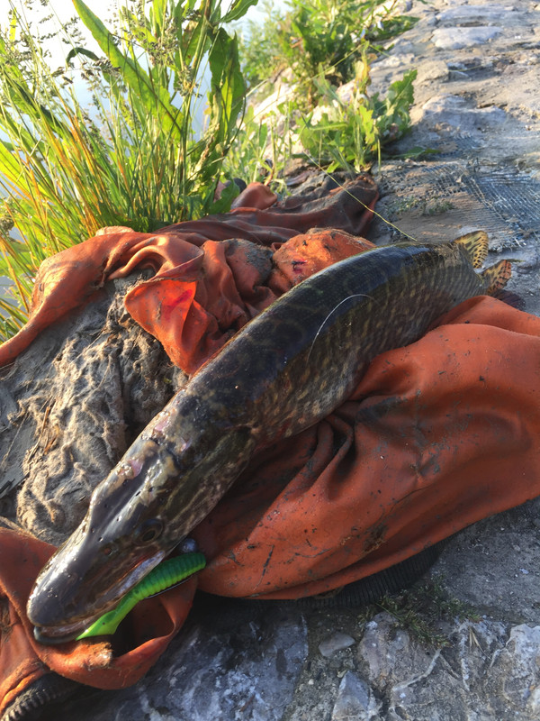 B6C6D5E0-4708-4596-9488-FA82C0E26DE6