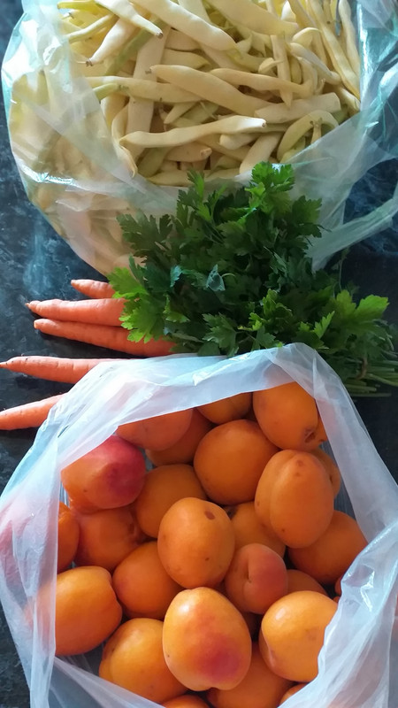 358061530_10226981158452327_279610135259931122_n