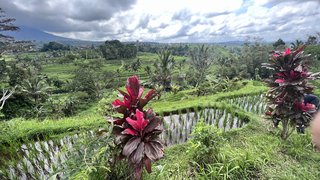 Indonesia, Singapur y Malasia 2022 - Blogs de Asia Sudeste - Día 6,7,8 y 9. Bali (5)