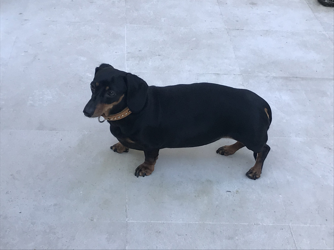 [Image: 31-F80527-4204-4056-A435-D178-E3-C2-F110.jpg]