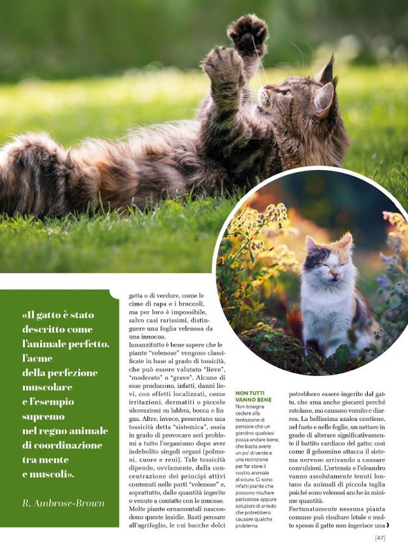 Ga Ma Ago-Set 2024 (8)