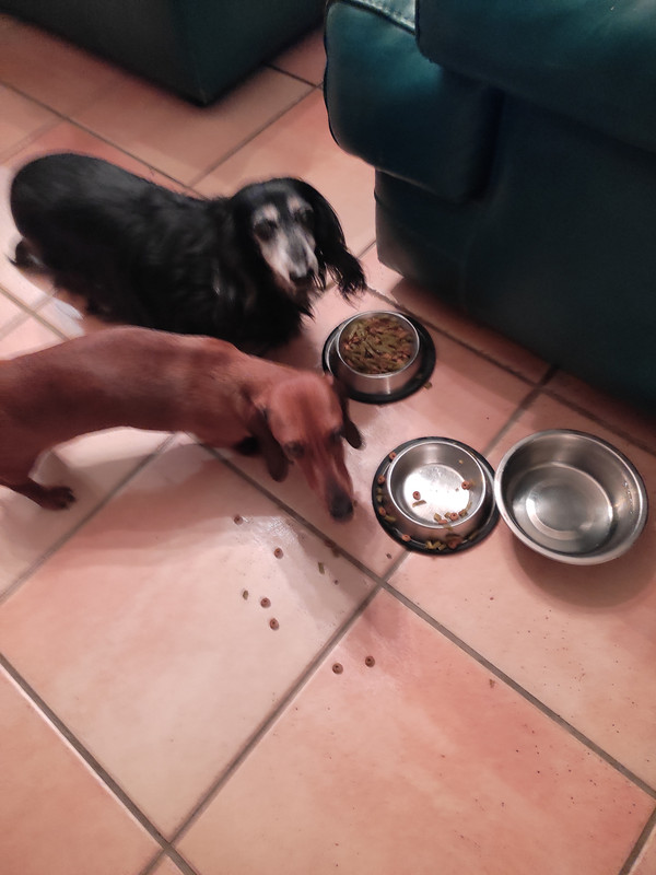 [Image: IMG-20240215-201912.jpg]