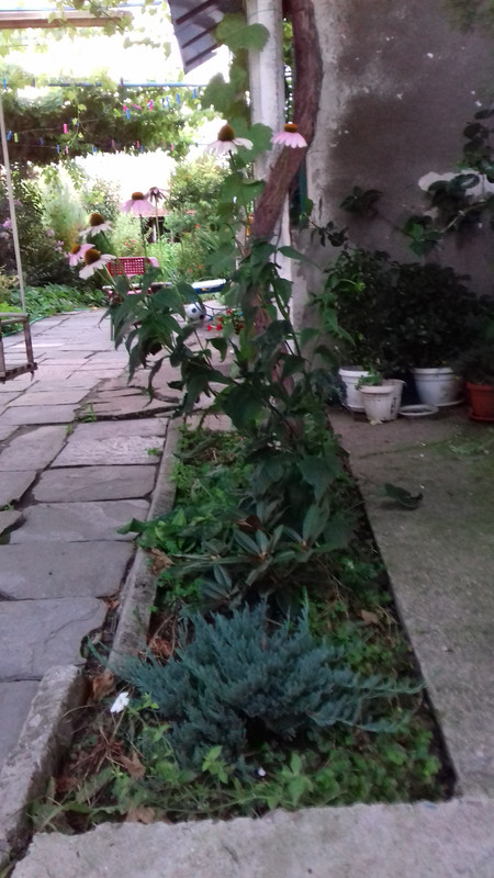 20190715_204247