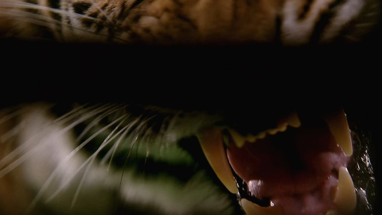 [HR] Burning Bright (2010) [BluRay 1080p x265]_06