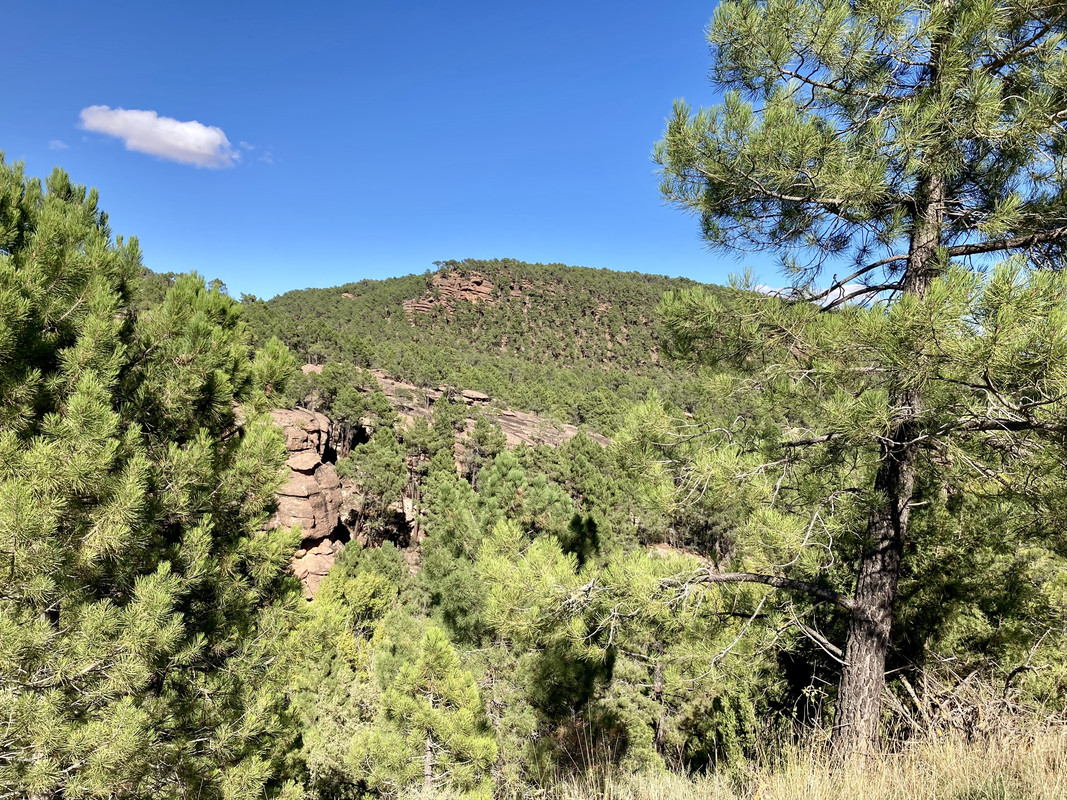 4BB04A6A-C181-4069-BD06-0D3C43A8A51C