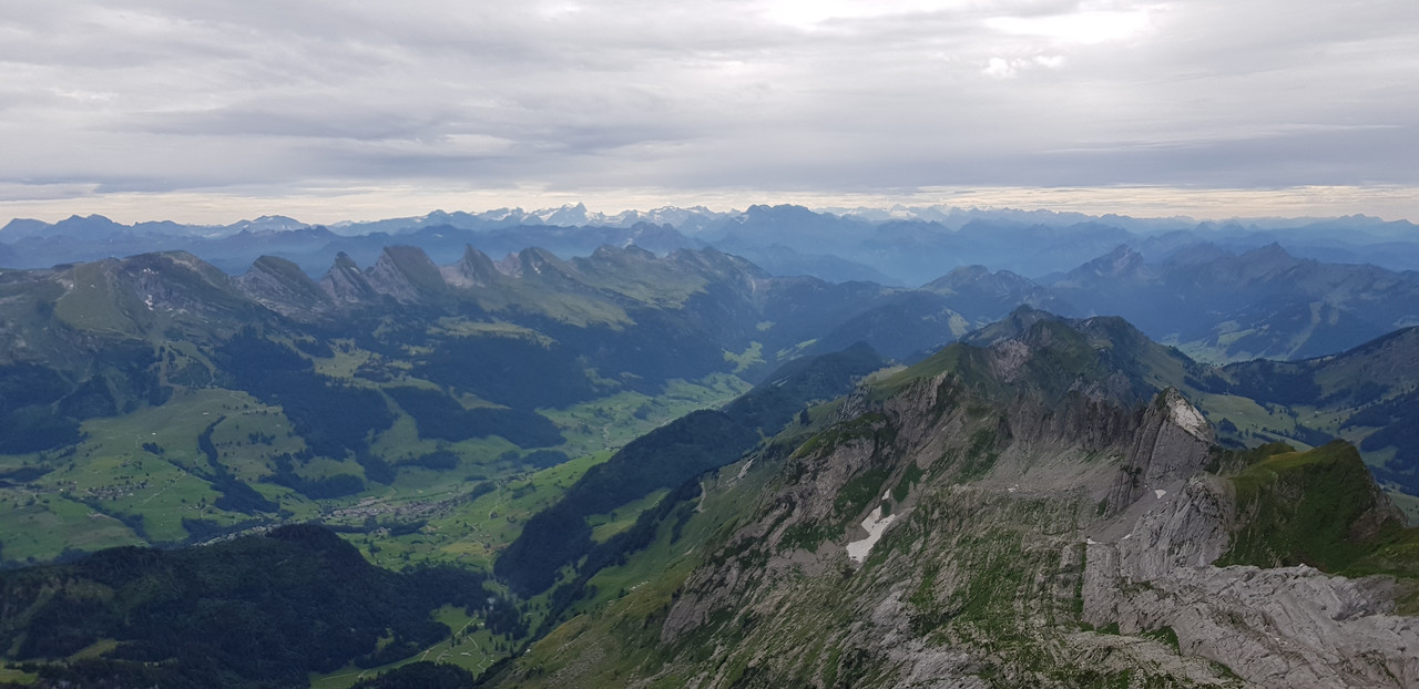 14) 2 0190817_171746