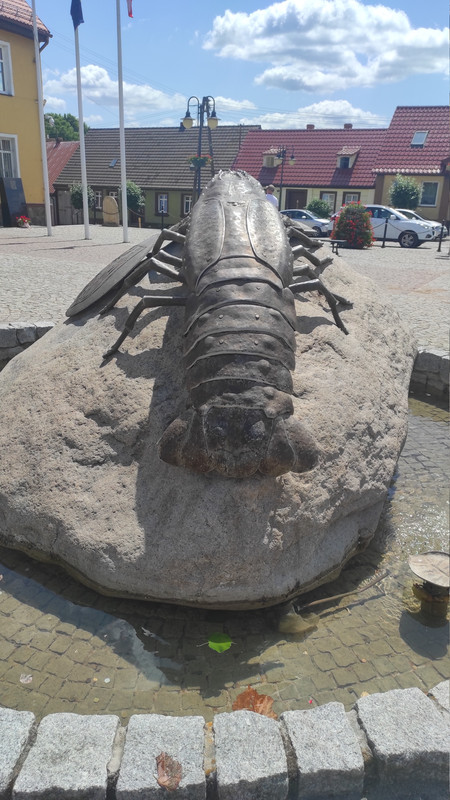 08 23 IMG 20250620 130205 Czesio1