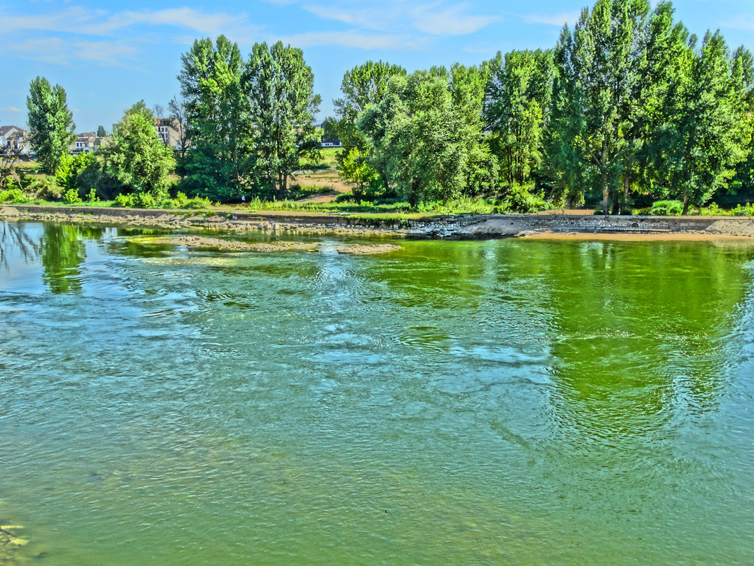 09.21 - DSC08760 (Czesio1)