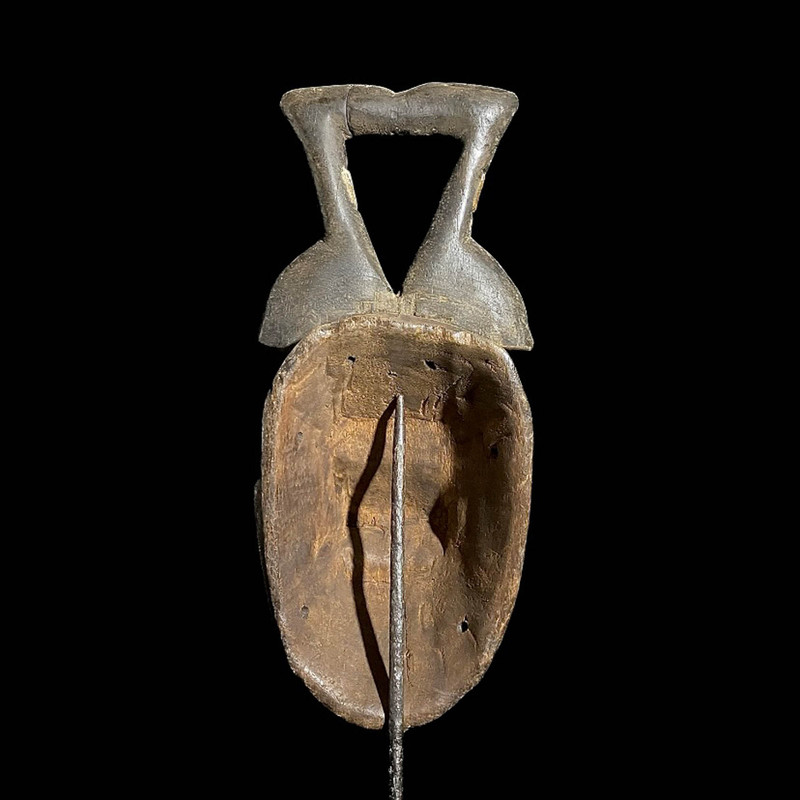 large image 8