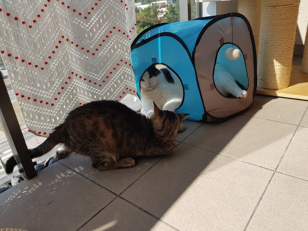 20190609-101200.jpg