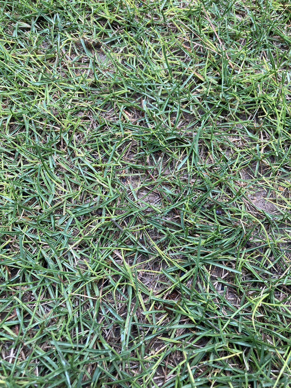 09F5A34B-D381-49E0-8970-44299085B01C