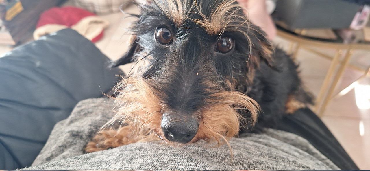 [Image: 20251102-133059.jpg]