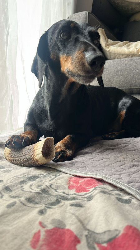 [Image: IMG-20250724-WA0007.jpg]