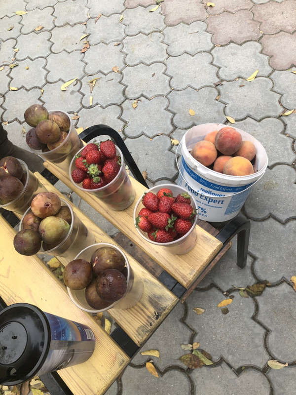 073B6103-B6B4-49CA-B083-79AE9246CB58