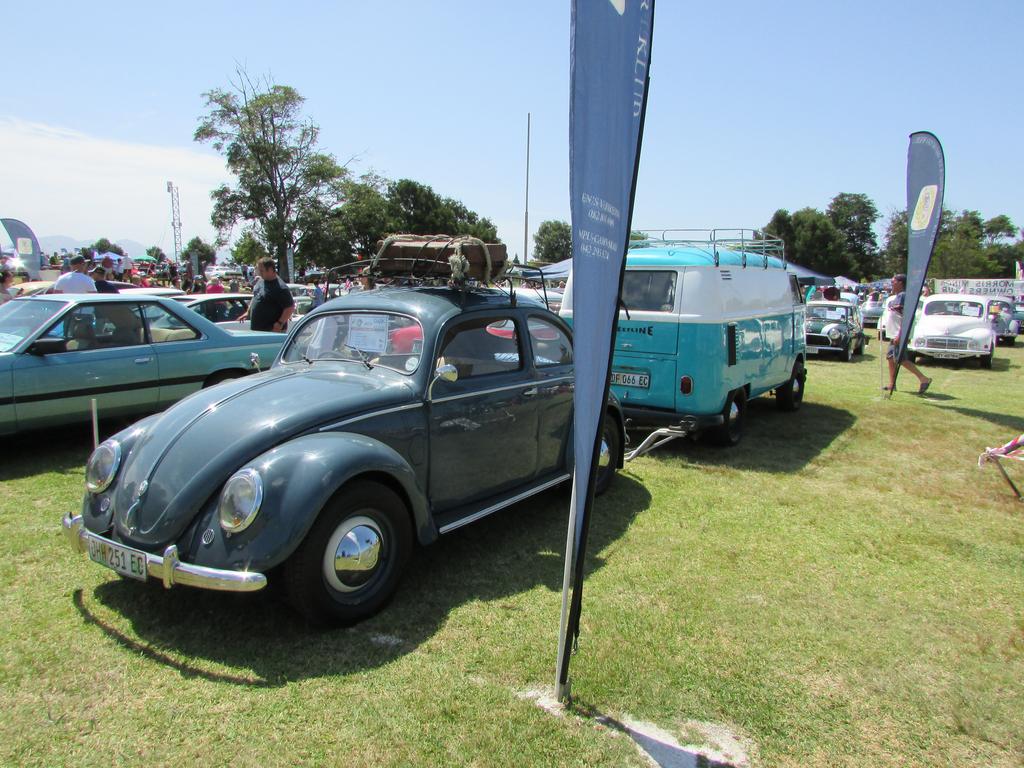 George Show 2019 (7)