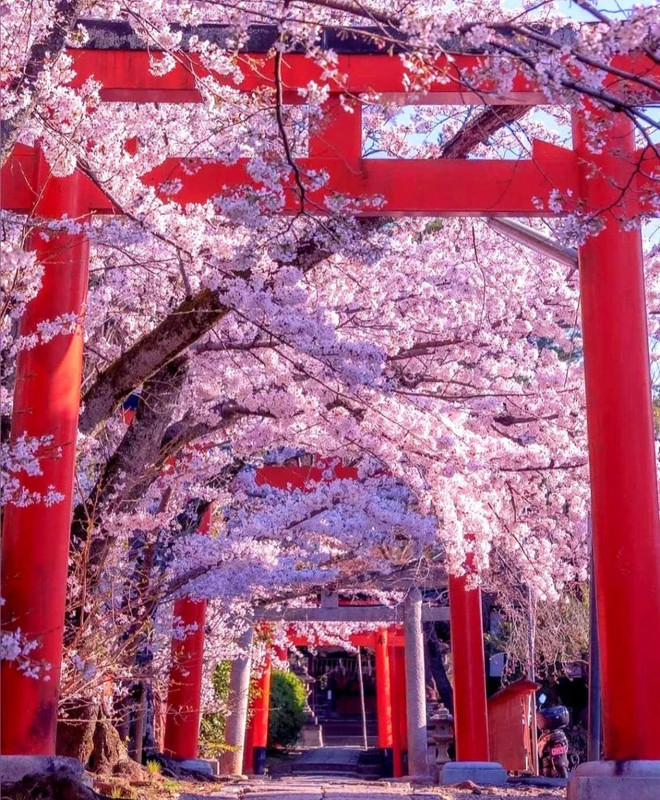 Screenshot_20240420_212422_Threads