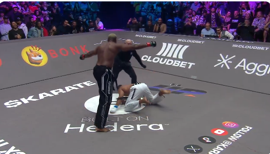 Робелис Деспейн с нокаут за 8 секунди в Karate Combat