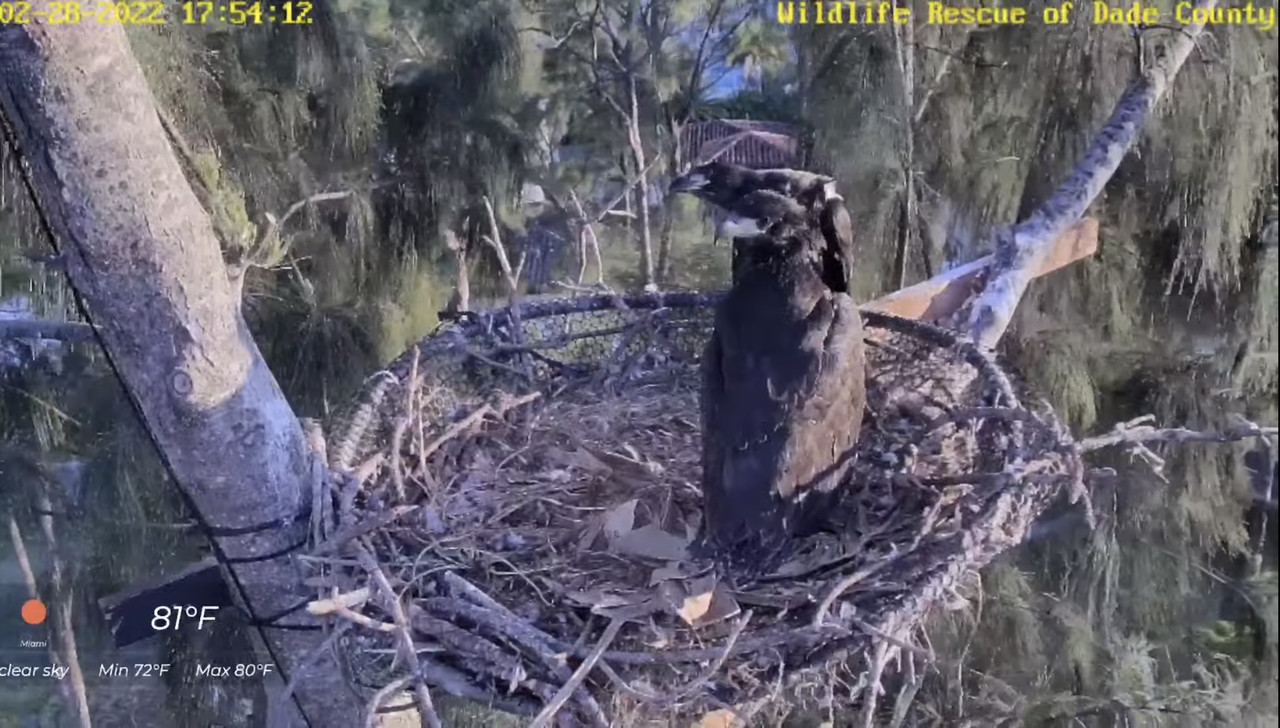 7A02CF2D-052A-4AF3-A1AD-95B1E930EC69