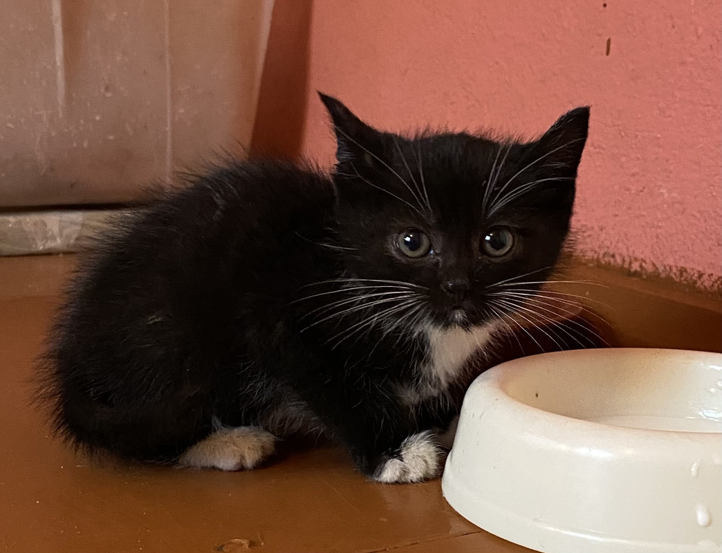 B4DB6223-AC6C-4843-8D9F-5111A0577F79