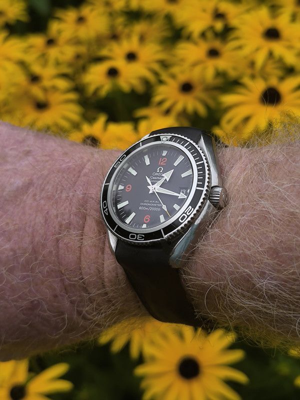 IMG_20250813_131643~2