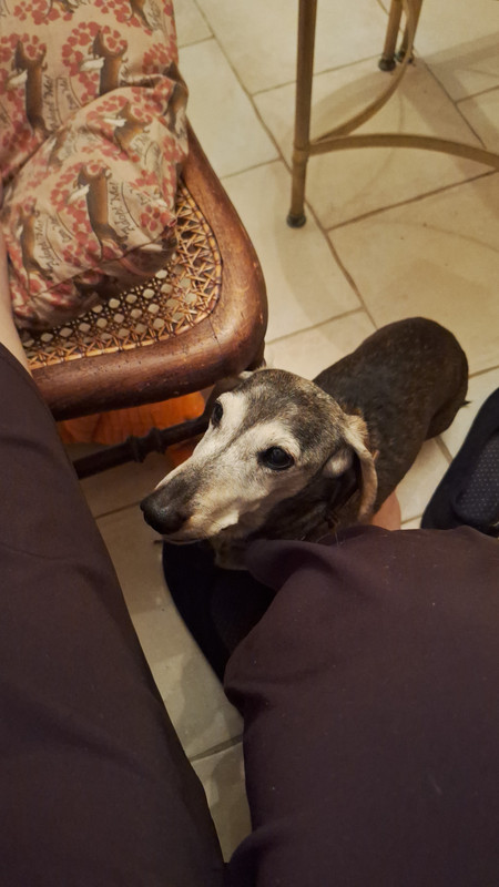 [Image: IMG-20251117-WA0016.jpg]