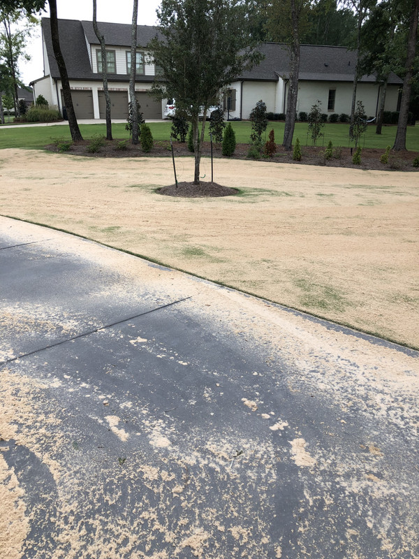 5854596A-A2EB-4C1A-BC3C-FED7294E8B3F