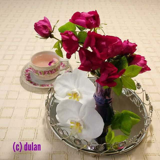 [Image: IMG-20240621-025030.jpg]