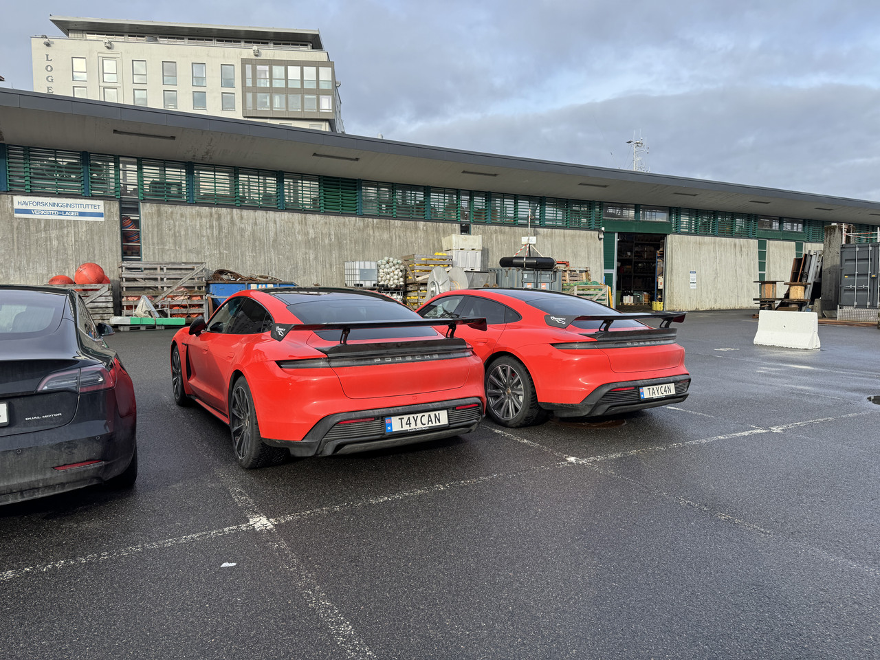 [Immagine: IMG-9717.jpg]