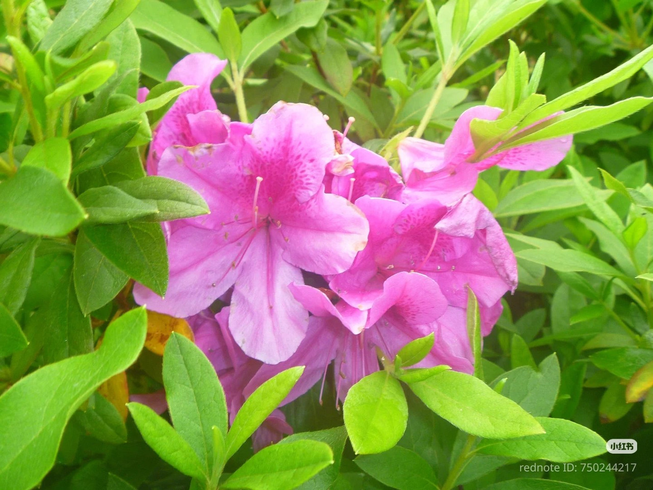 photo 11 2026 01 03 21 33 01