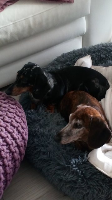 [Image: DSC-0598.jpg]