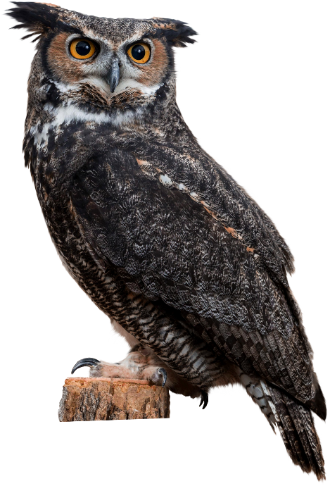 Autumn Witchery (13)