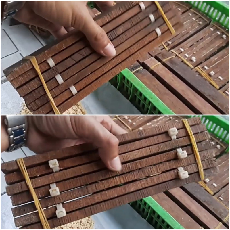 zip-tie-wood-egg-collector-stack.jpg