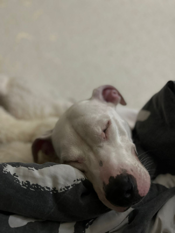 88CE18E1-B04C-4F20-AAD6-1D1C201AF3CF