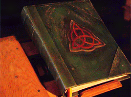 Historia del foro Book