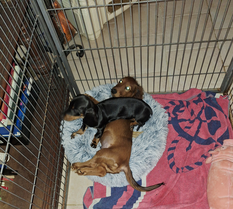 [Image: 20241008-200019.jpg]