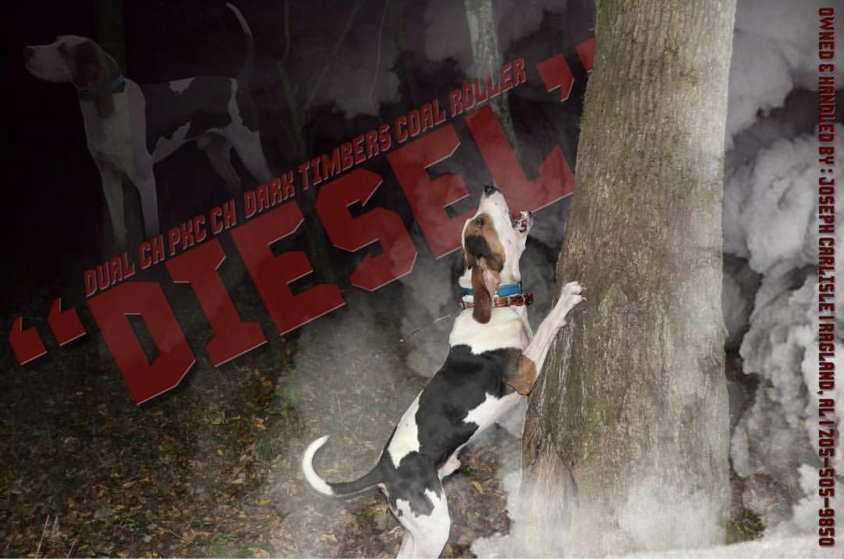 5E38873D-47CA-4113-BF88-439C517A4ECC