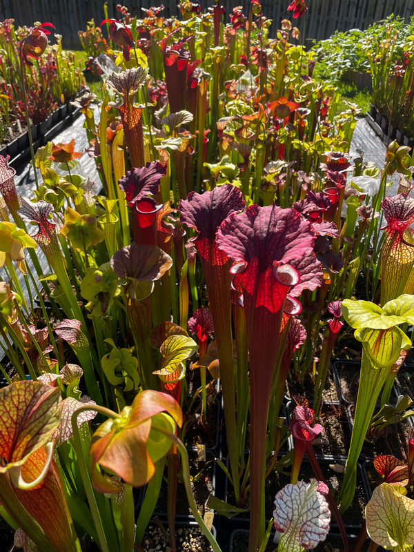 526EBB43-D734-419C-B59F-55D9893FF6EF