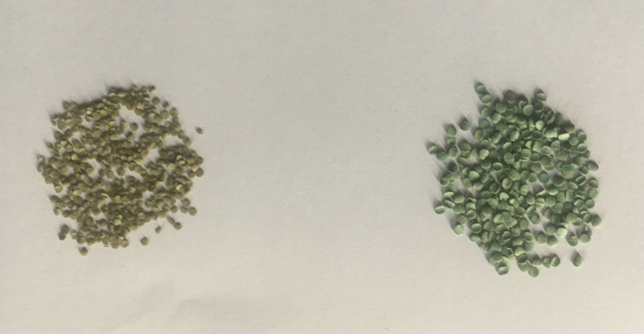 5A0B572B-D2D1-4AEC-8B4D-3FFE9004D757