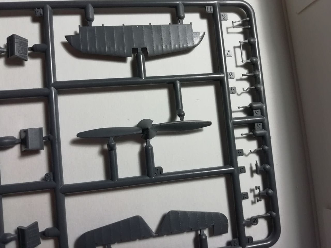 photo_2021-05-25_21-10-39