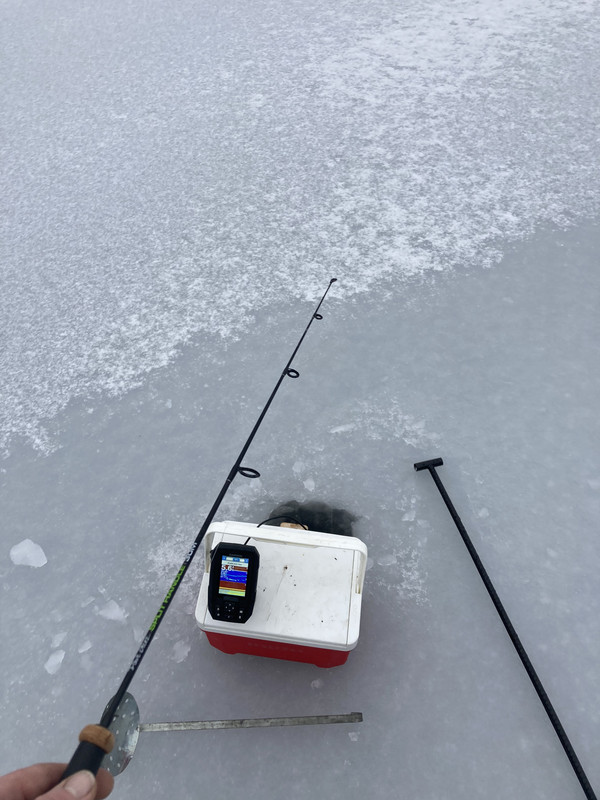 E2AC510B-DD40-4E1E-B2CA-99F1C3AC13A5