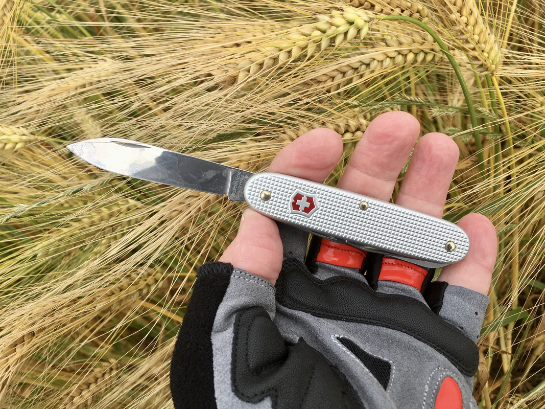 B9F850E8-2C74-47F4-9424-BA86E61A61F6