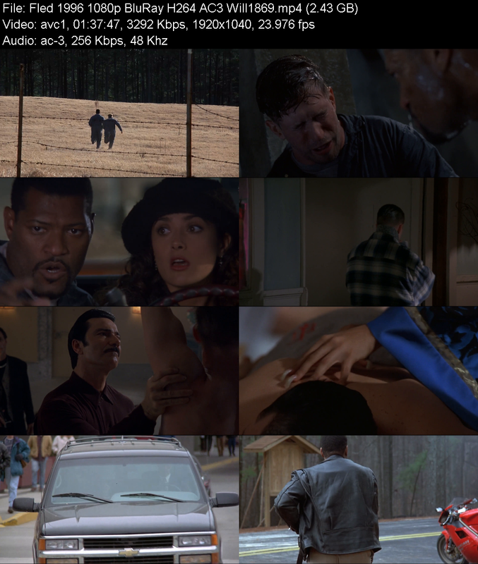 fled-1996-1080p-bluray-h264-ac3-will1869