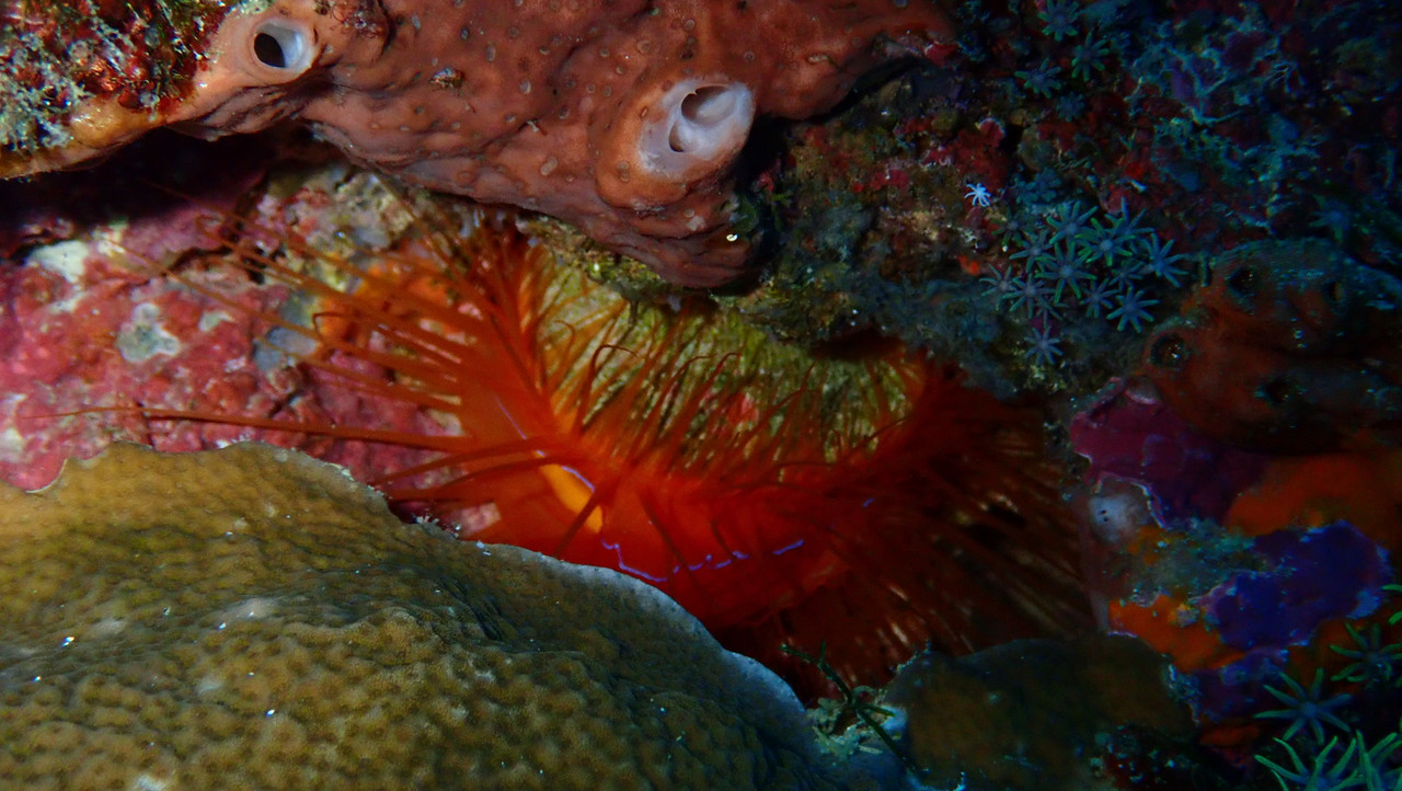 A9023FB3-2078-4F68-A388-63CB6BA6BD37