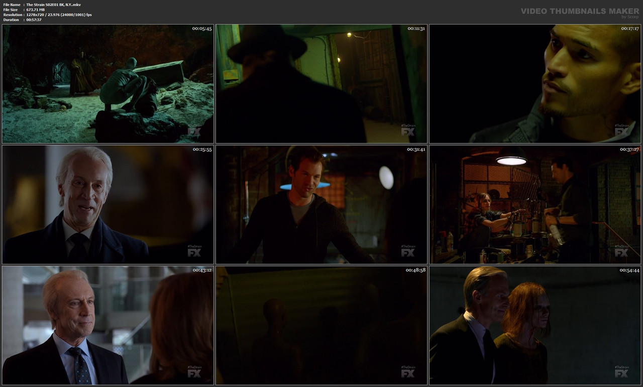 The Strain S02E01 BK, N.Y..mkv