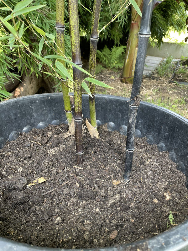 B43A0DDC-D4C0-4384-B348-9BDCA42DB389