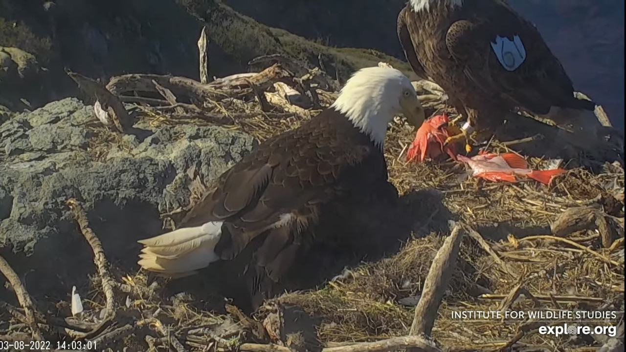 7315FC97-7E57-4C1C-95D8-7A46C9F36A4E